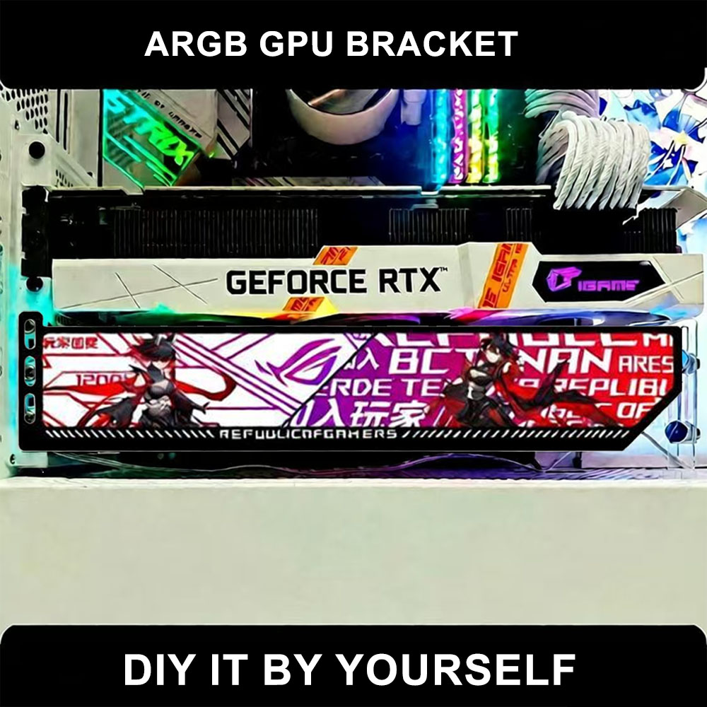 Customize RGB VGA Holder 5V/12 - Gaming Card Holder recension och pris